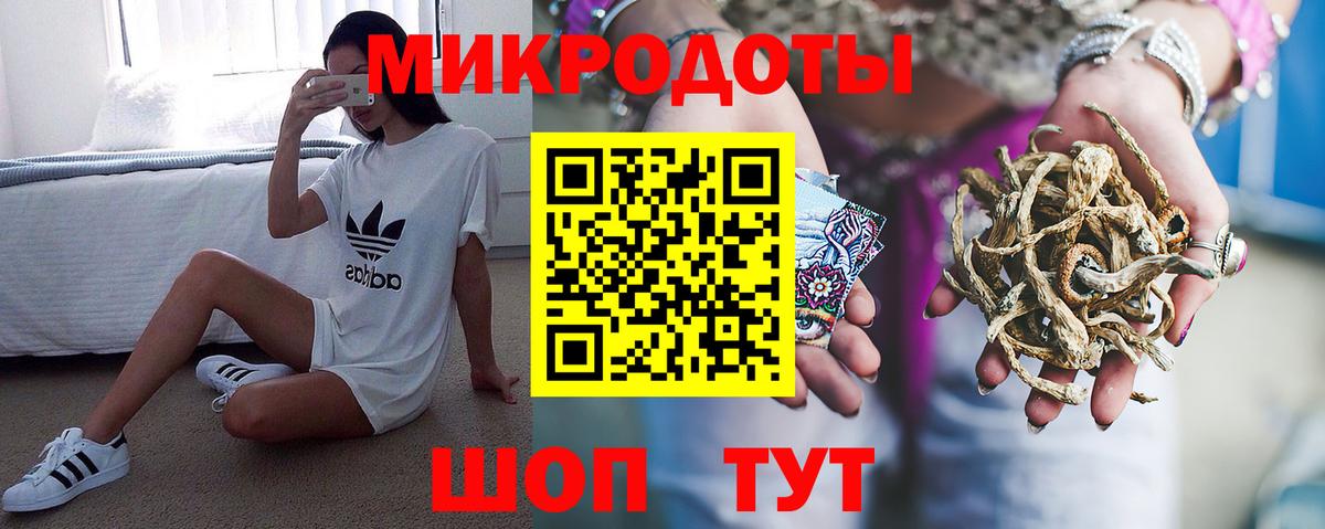 Галлюциногенные грибы Psilocybe Ноябрьск